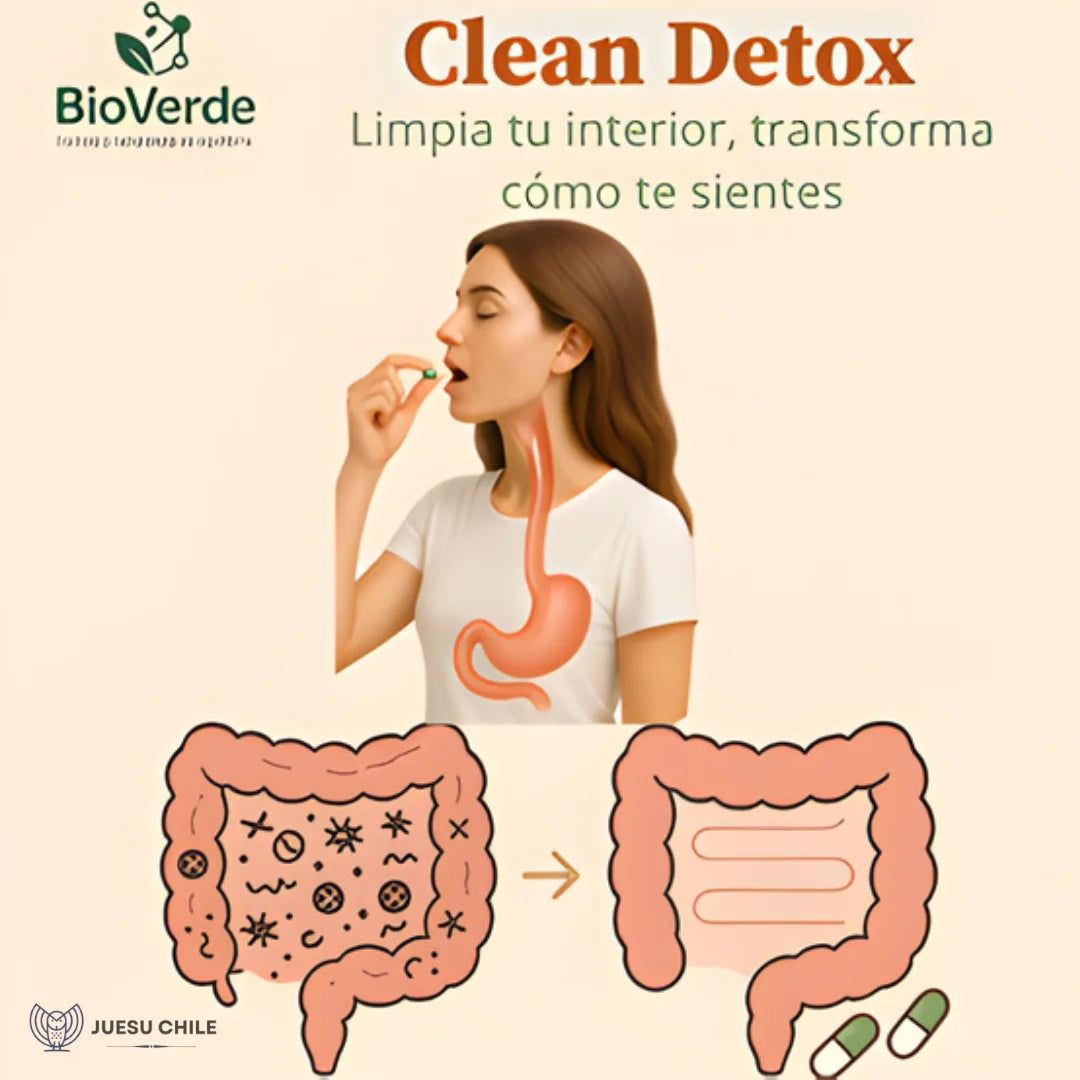CLEANDETOX - Favorece la desintoxicación hepática y digestiva