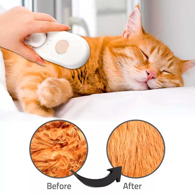 Pack AntiPelo - Solución definitiva para el pelo suelto