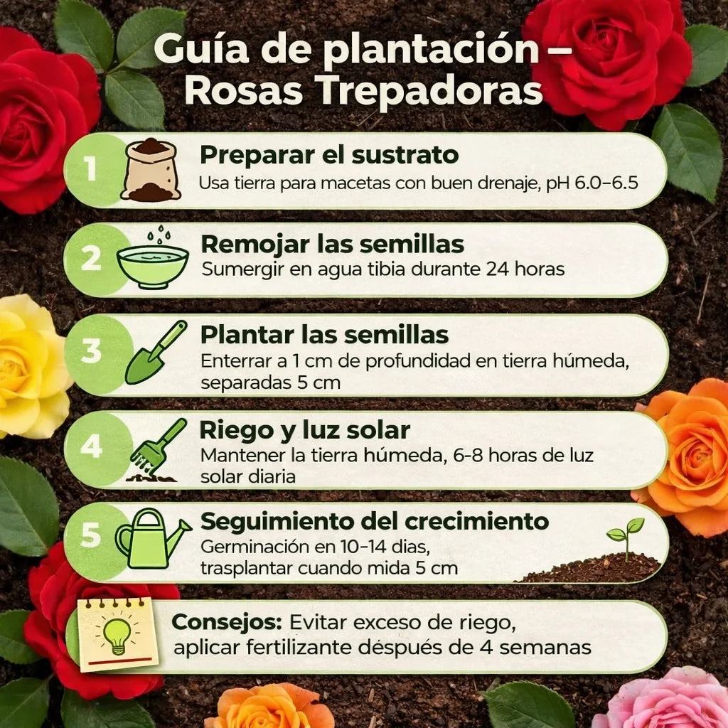 Kit de Rosas Trepadoras (200 semillas) - Embellece tu hogar naturalmente