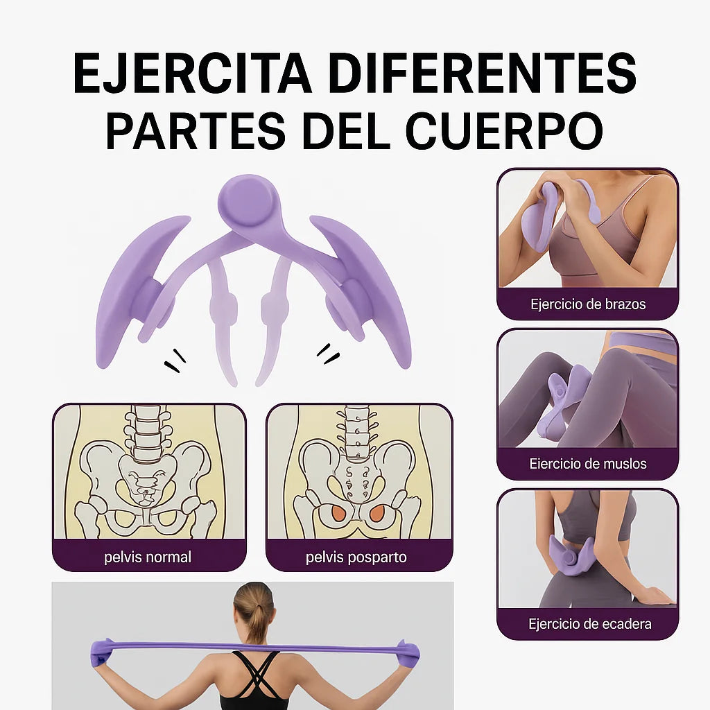 Ejercitador premium - Ejercita, fortalece y mejora tu bienestar