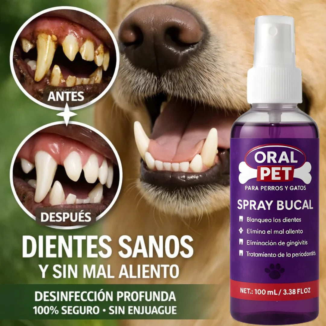 BUCALFRESH - Vuelve a abrazar a tu perro sin ese mal olor incómodo