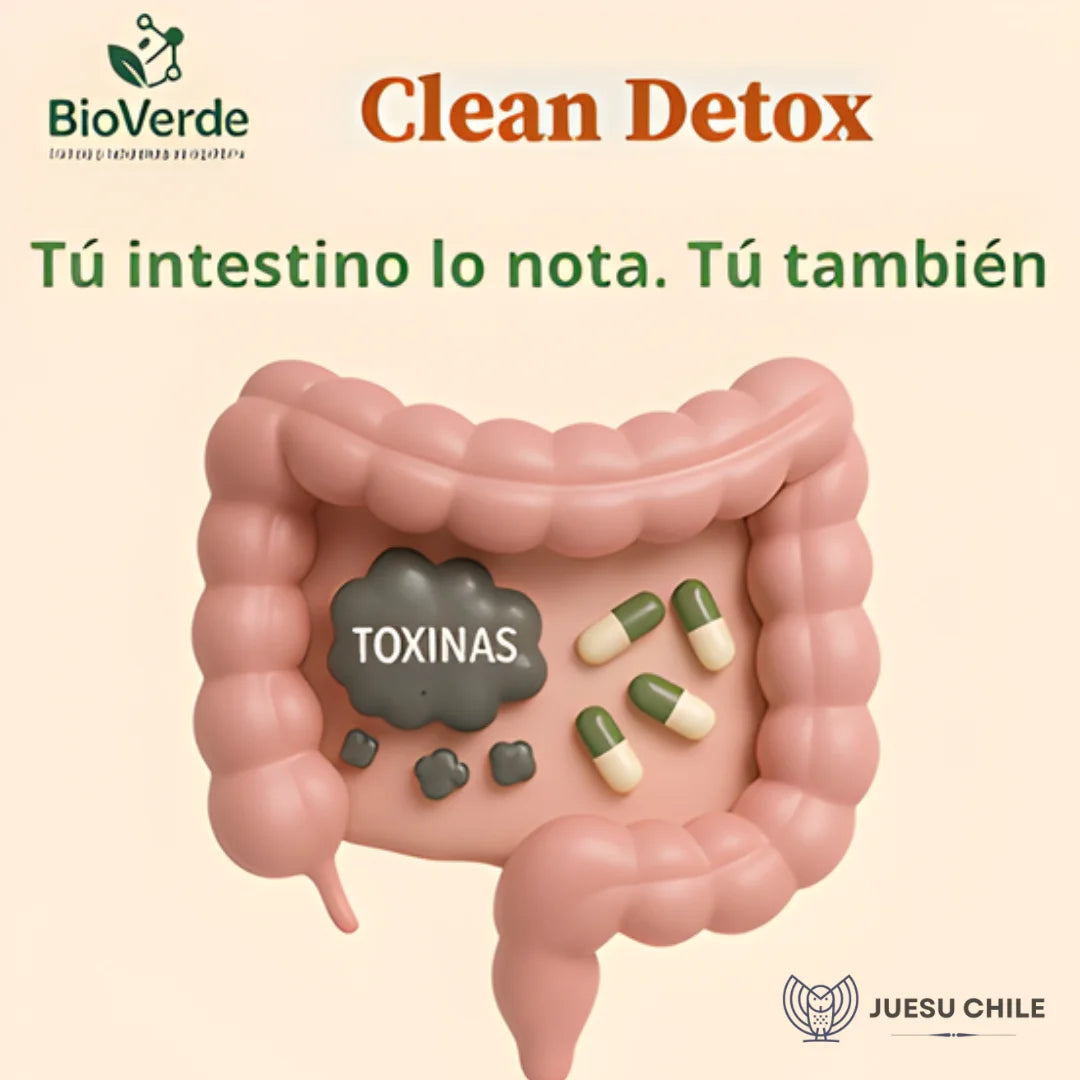 CLEANDETOX - Favorece la desintoxicación hepática y digestiva