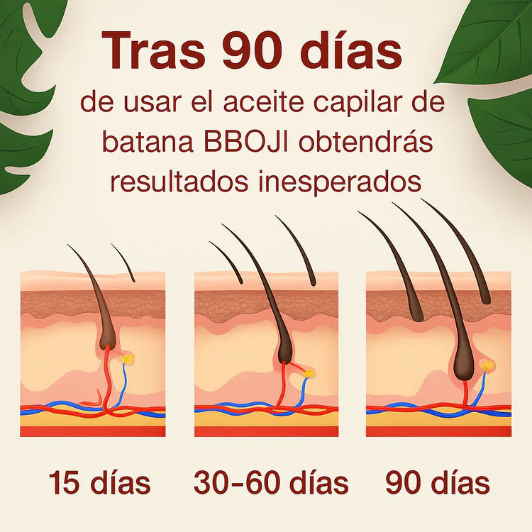 BATANA OIL - El Secreto Ancestral para Prevenir la Caída del Cabello y Estimular el Crecimiento